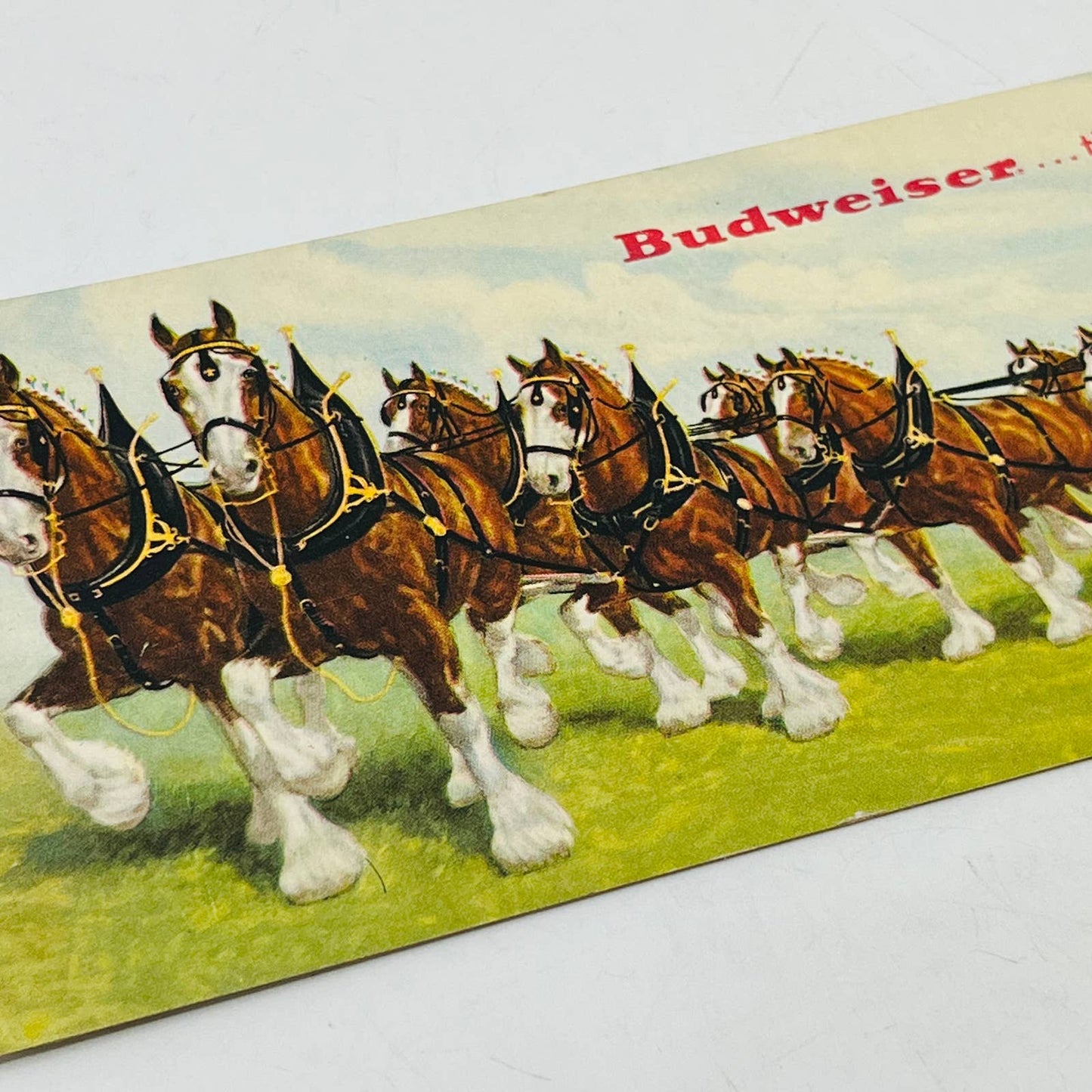 1940s DOUBLE FOLD ADVERTISING POSTCARD BUDWEISER CLYDESDALE HORSES MICHELOB C7