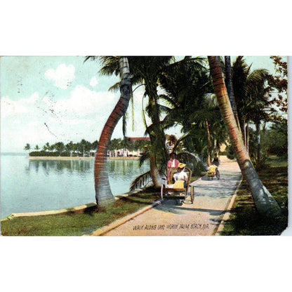 Walk Along Lake Worth Palm Beach Florida - Original Postcard TJ7-RP3