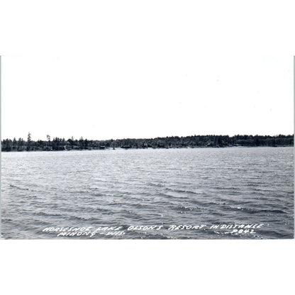 Olson's Resort Horseshoe Lakes View Minong Wisconsin RPPC Postcard TJ9-P3