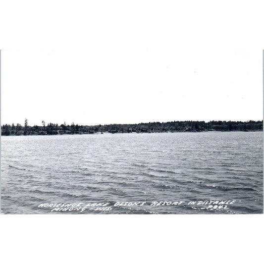 Olson's Resort Horseshoe Lakes View Minong Wisconsin RPPC Postcard TJ9-P3