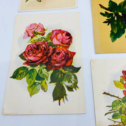 1880s Victorian Lithograph Card Scrap Set of 5 Flowers Roses 6” EA2