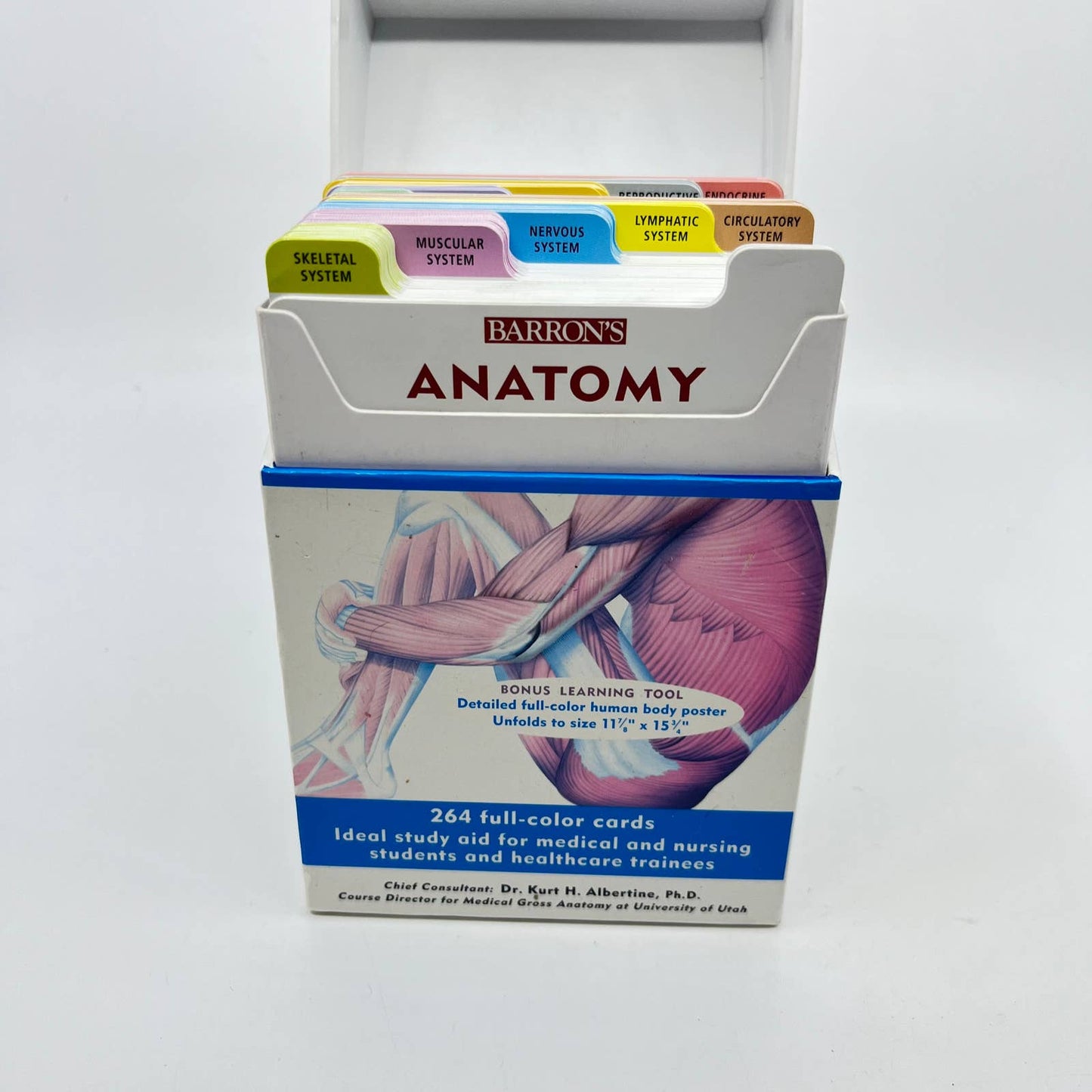 Barron's Anatomy Flash Cards by Kurt Albertine TE5