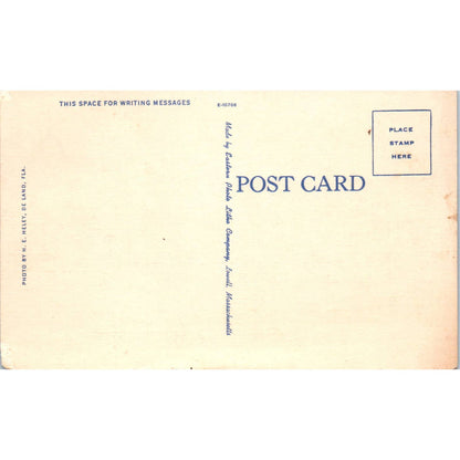 Greyhound Racing Volusia County Kennel Club Daytona Beach FL Postcard TK1-23