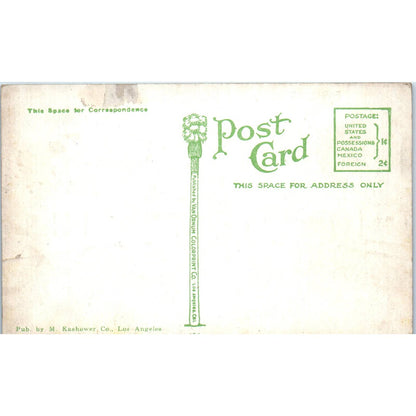 Antique Postcard Plunge Long Beach Bathhouse California SE3-2