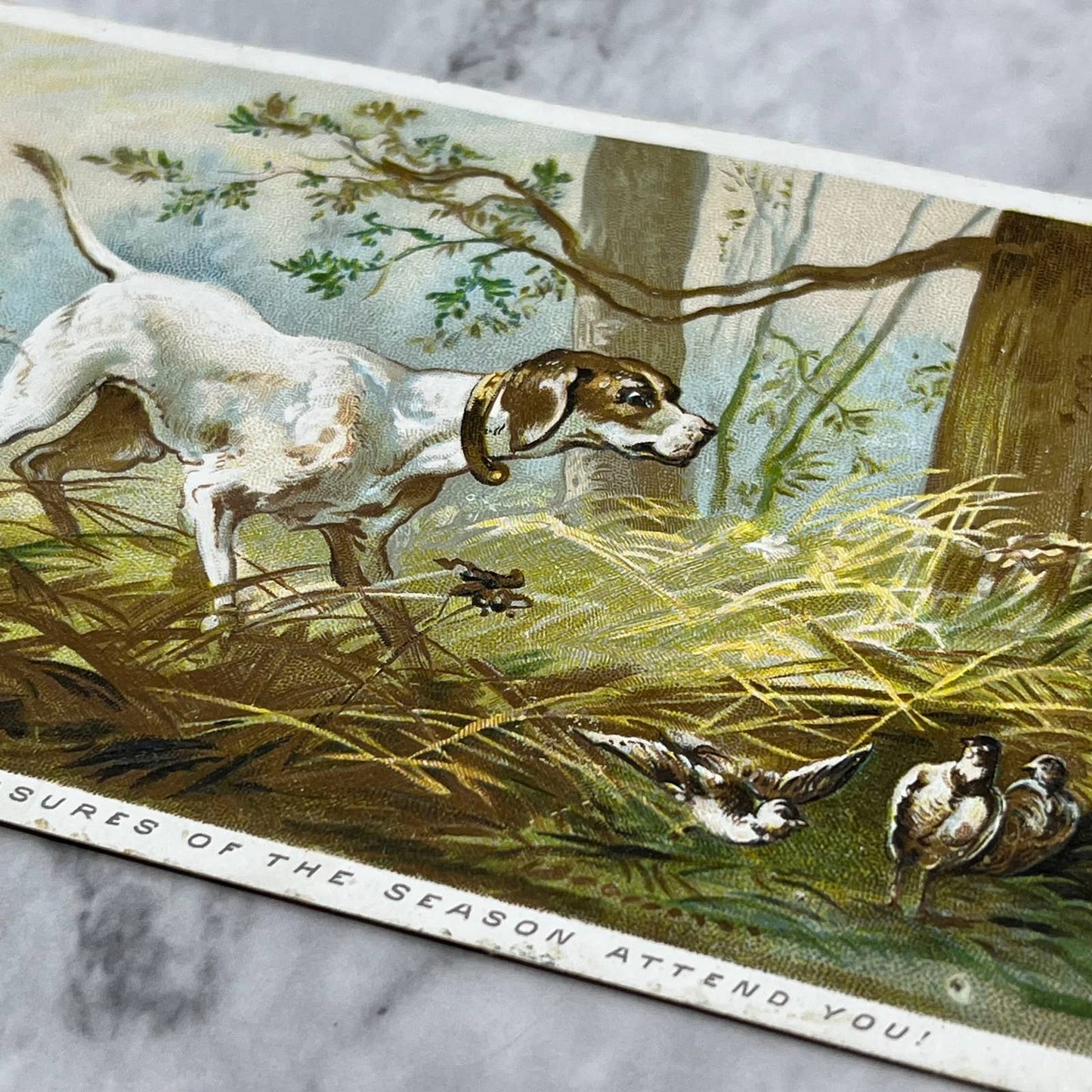 1880s Embossed Christmas Victorian Trade Card Hunting Pointer Dog EA4-2