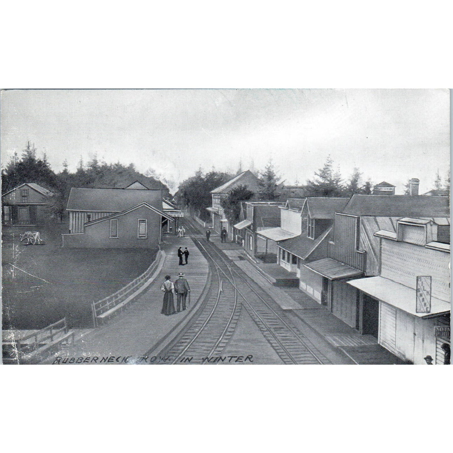 Vintage Postcard Rubberneck Row in the Winter Washington TD9-W2