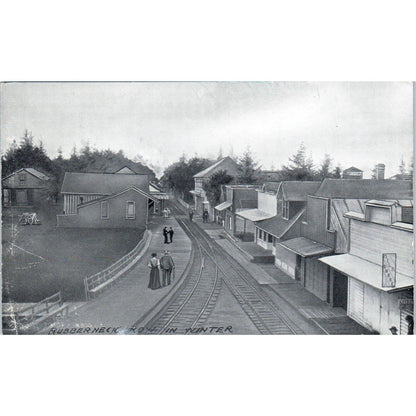 Vintage Postcard Rubberneck Row in the Winter Washington TD9-W2