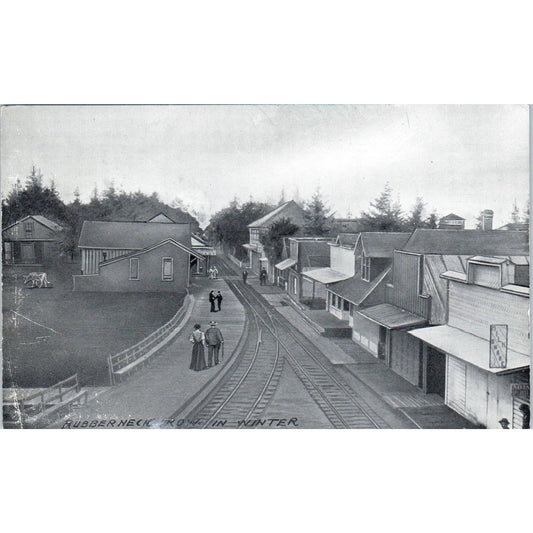 Vintage Postcard Rubberneck Row in the Winter Washington TD9-W2