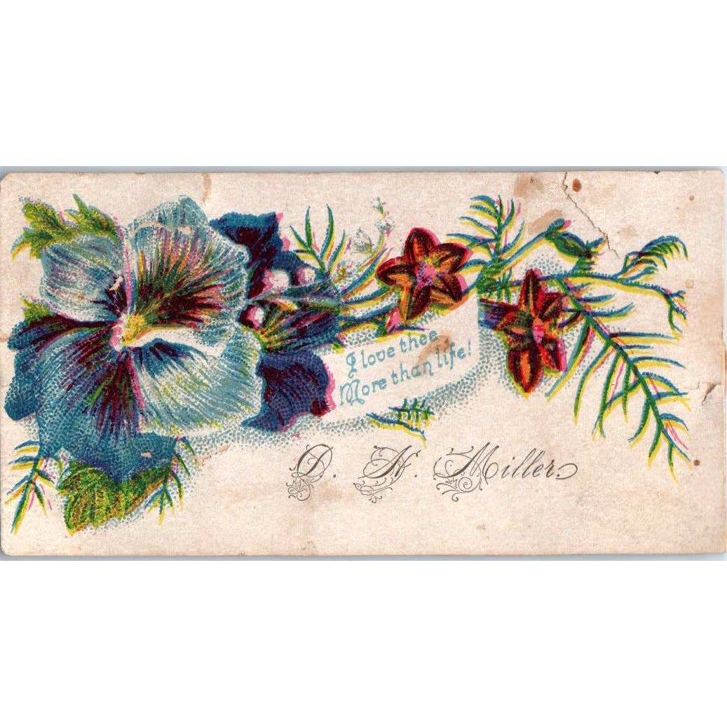 1880s Victorian Calling Card - D.F. Moiller SF2