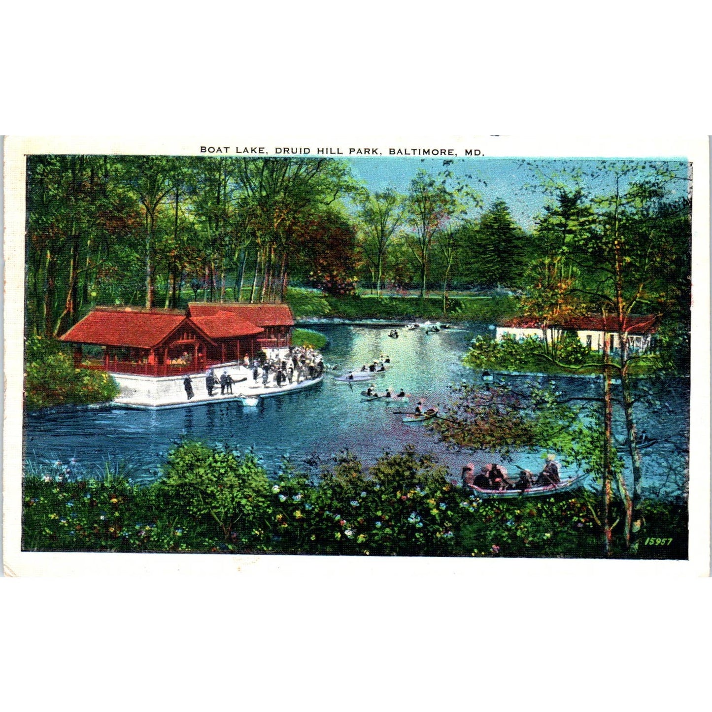 Boat Lake View Druid Hill Park Baltimore MD Original Postcard TK1-28