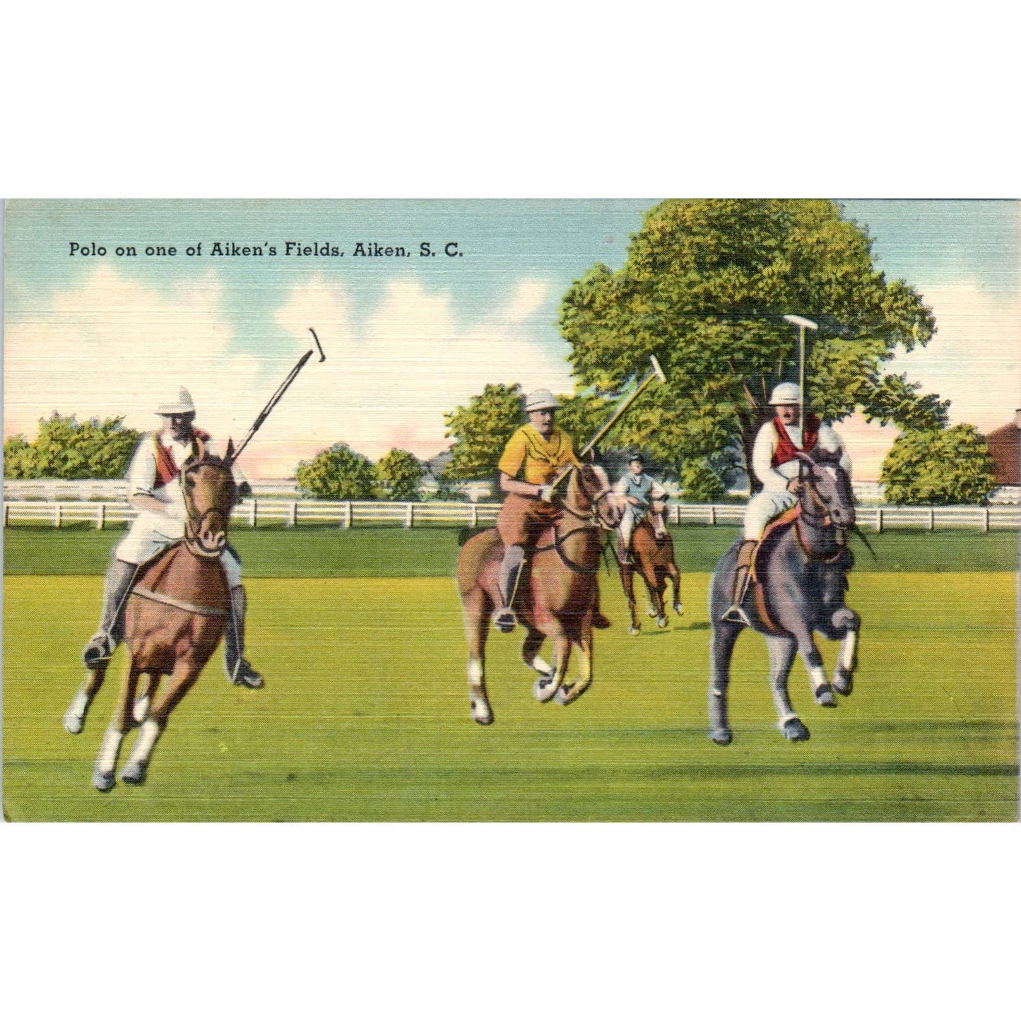 Polo on one of Aiken's Fields, Aiken SC 1950s Original Postcard TK1-23