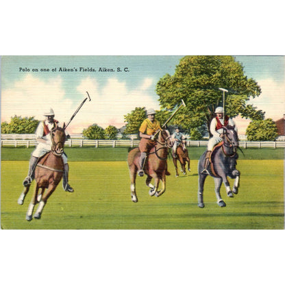 Polo on one of Aiken's Fields, Aiken SC 1950s Original Postcard TK1-23