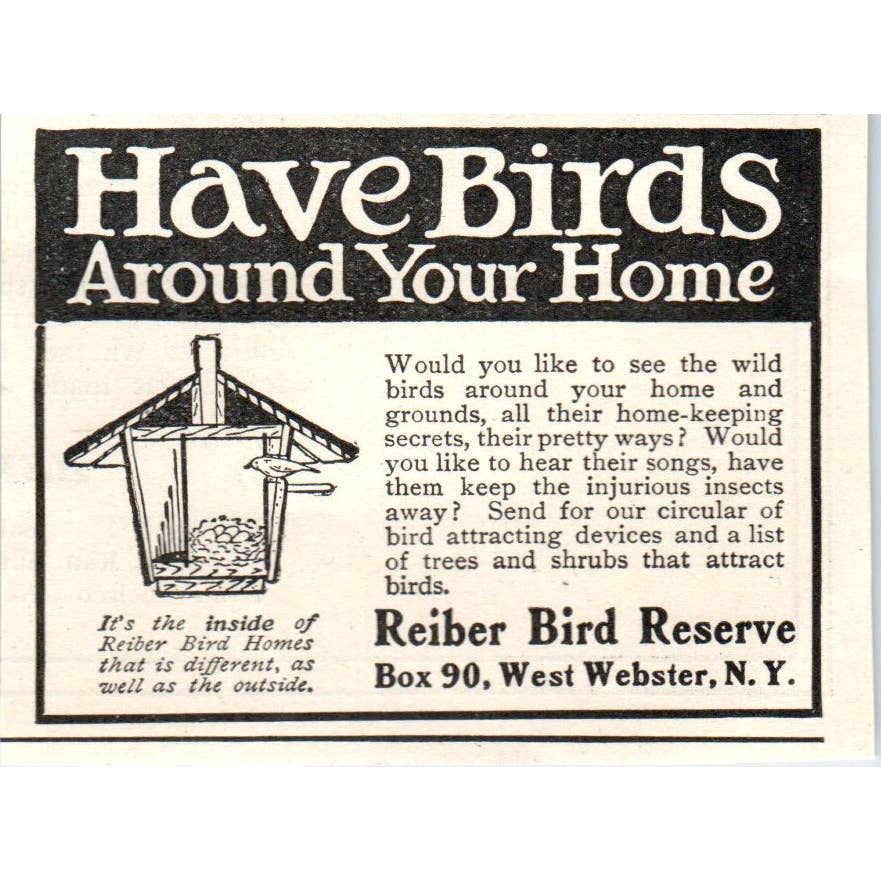Rieber Bird Reserve Bird Houses and Attraction Devices - 1921 Original Ad TJ7-S8