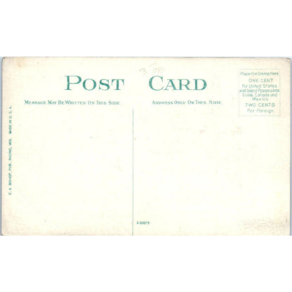 Chickens Scratching for the Farmer c1910 Original Postcard TK1-21