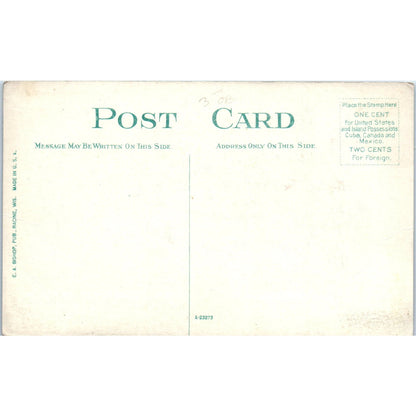 Chickens Scratching for the Farmer c1910 Original Postcard P2-1