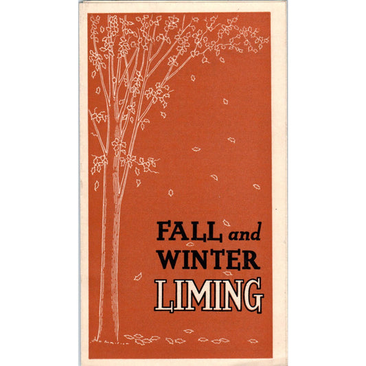 Vintage Info Brochure Fall and Winter Liming Hints for the Home SE5