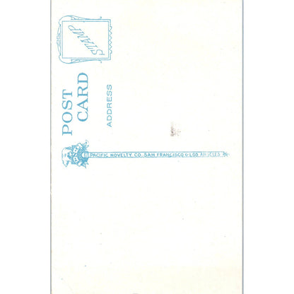 Vintage Postcard Hoge Building Seattle Washington TD9-W2