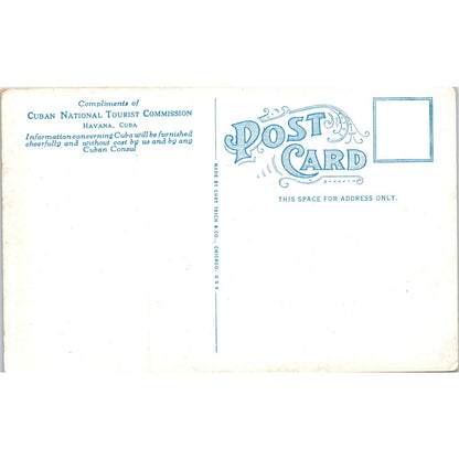 Fifth Avenue, Reparto Miramar - Havana Cuba Original Postcard TK1-P16