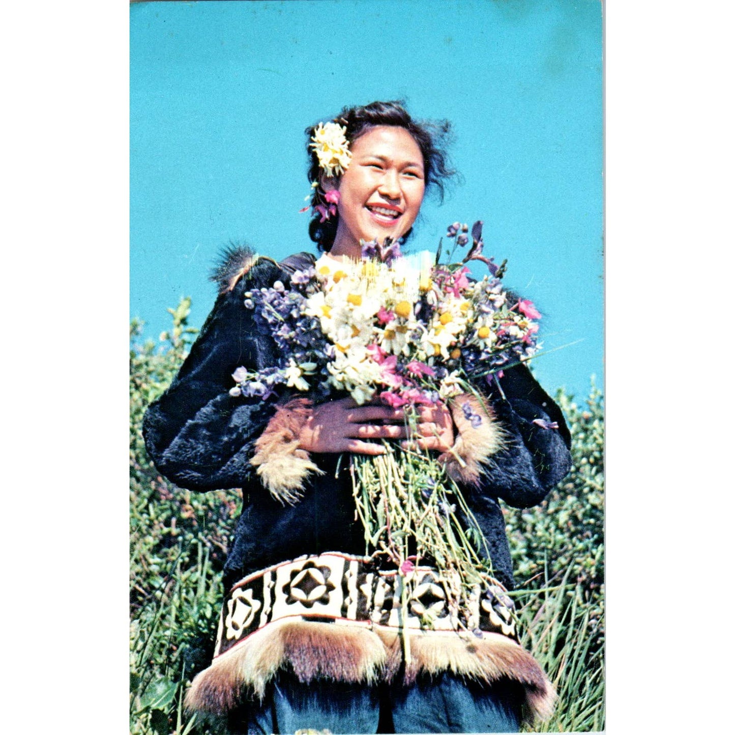 Flowers of the Arctic Kotzebue Alaska Original Postcard TK1-30