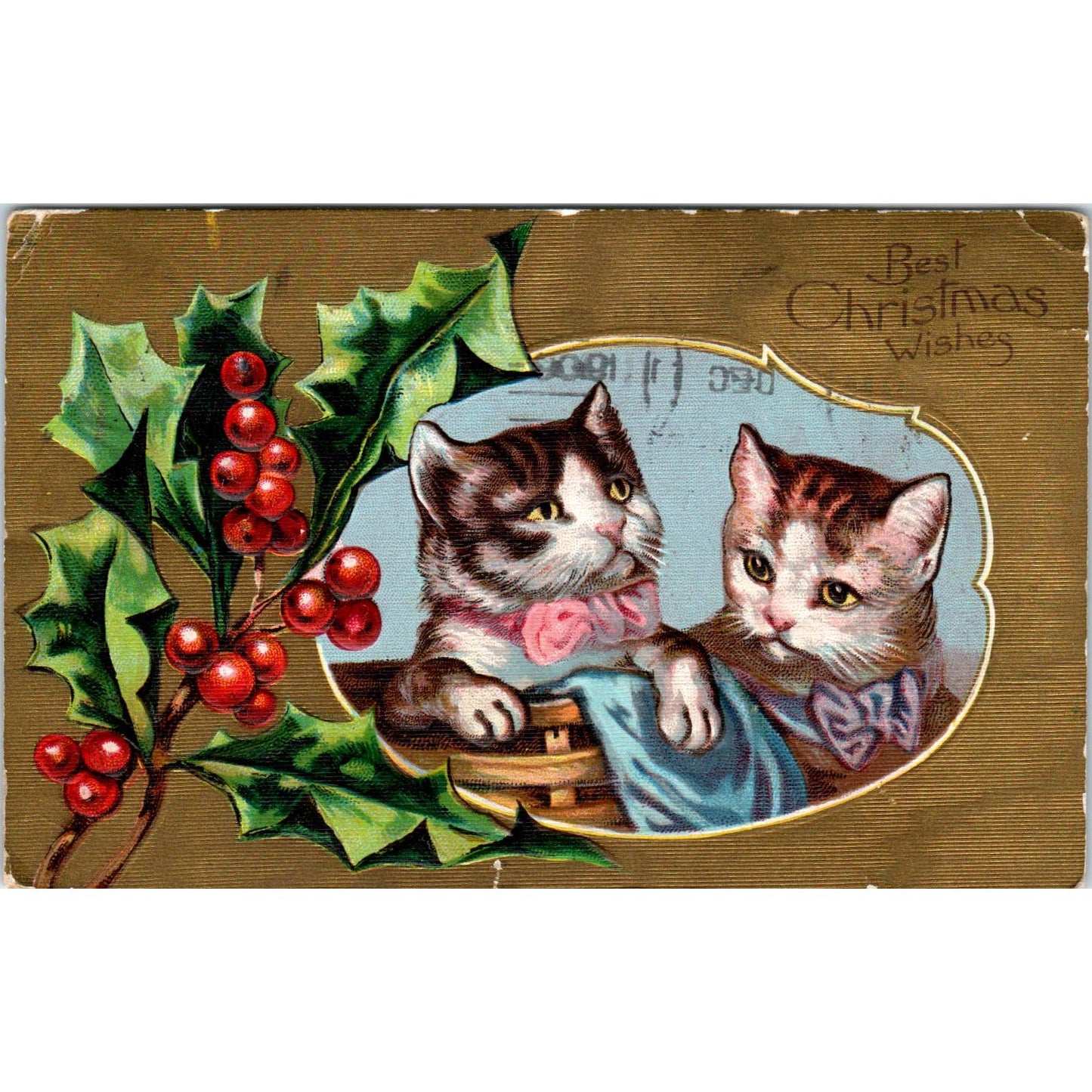 1909 Postcard Christmas Kittens With Bows Embossed Holly Gold Gilt SE5