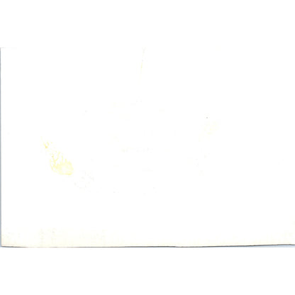 Hall of Flags at Yankton College 1967 Original Photo 5x7 B10
