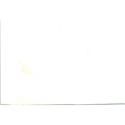 Hall of Flags at Yankton College 1967 Original Photo 5x7 TK1-P4