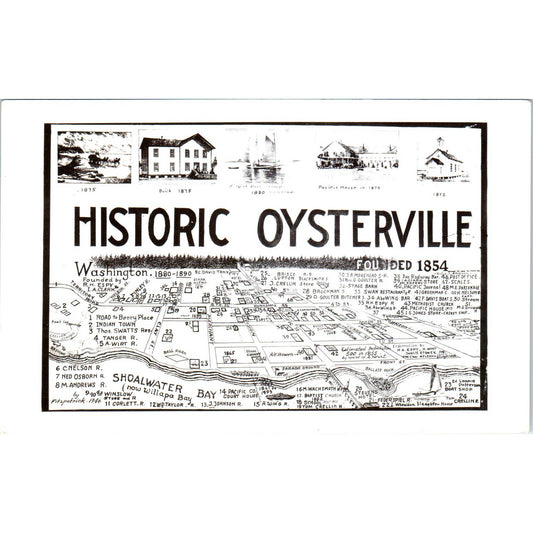 Antique Postcard Map of Historic Oysterville Washington TD9