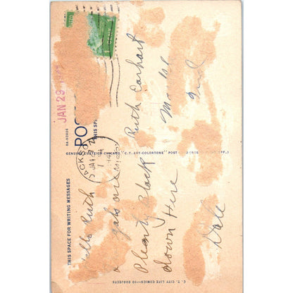 Vtg Postcard Illustrated I lost my pride and dignity Before a handsome youth EA3