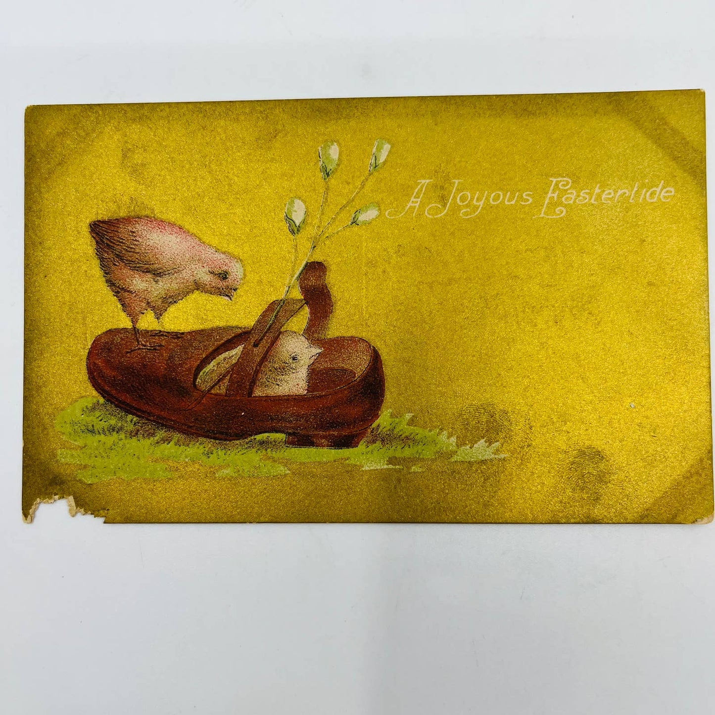 1910s Easter Post Card Gold Background Baby Chicks in Girl’s Shoe PA5