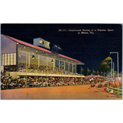 Greyhound Racing at Night in Miami Florida Original Postcard TK1-23