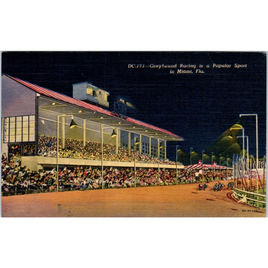 Greyhound Racing at Night in Miami Florida Original Postcard P2-9