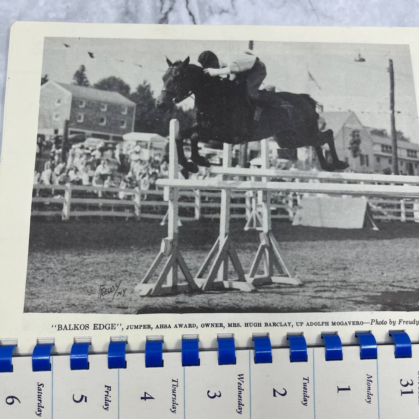 1954 Date Book Show Horse Calendar Dressage TI6