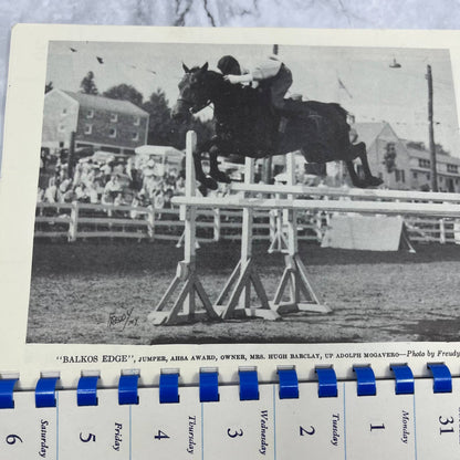 1954 Date Book Show Horse Calendar Dressage TI6