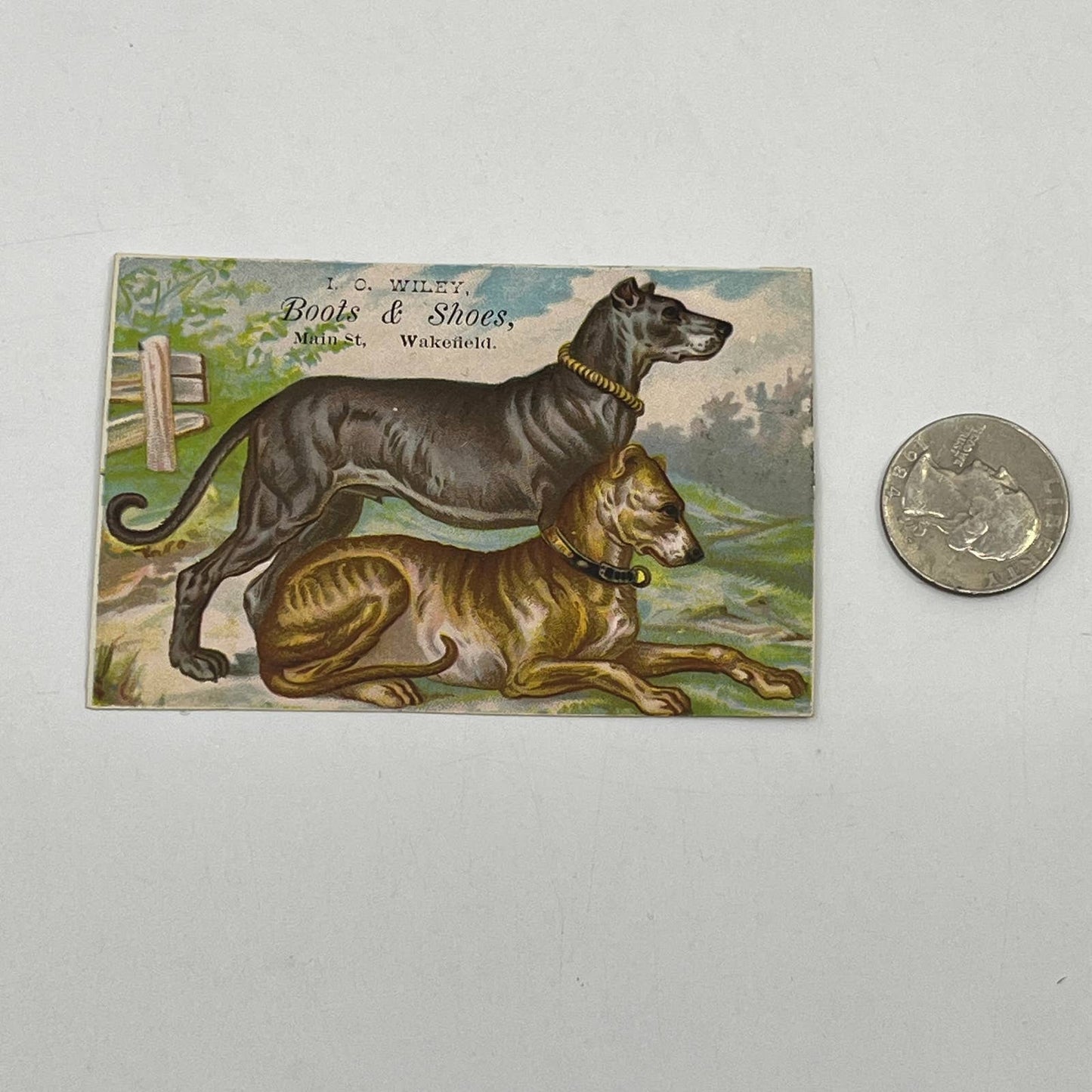 1880s Victorian Trade Card Great Dane Dogs I.C Wiley Boots & Shoes Wakefield AB6