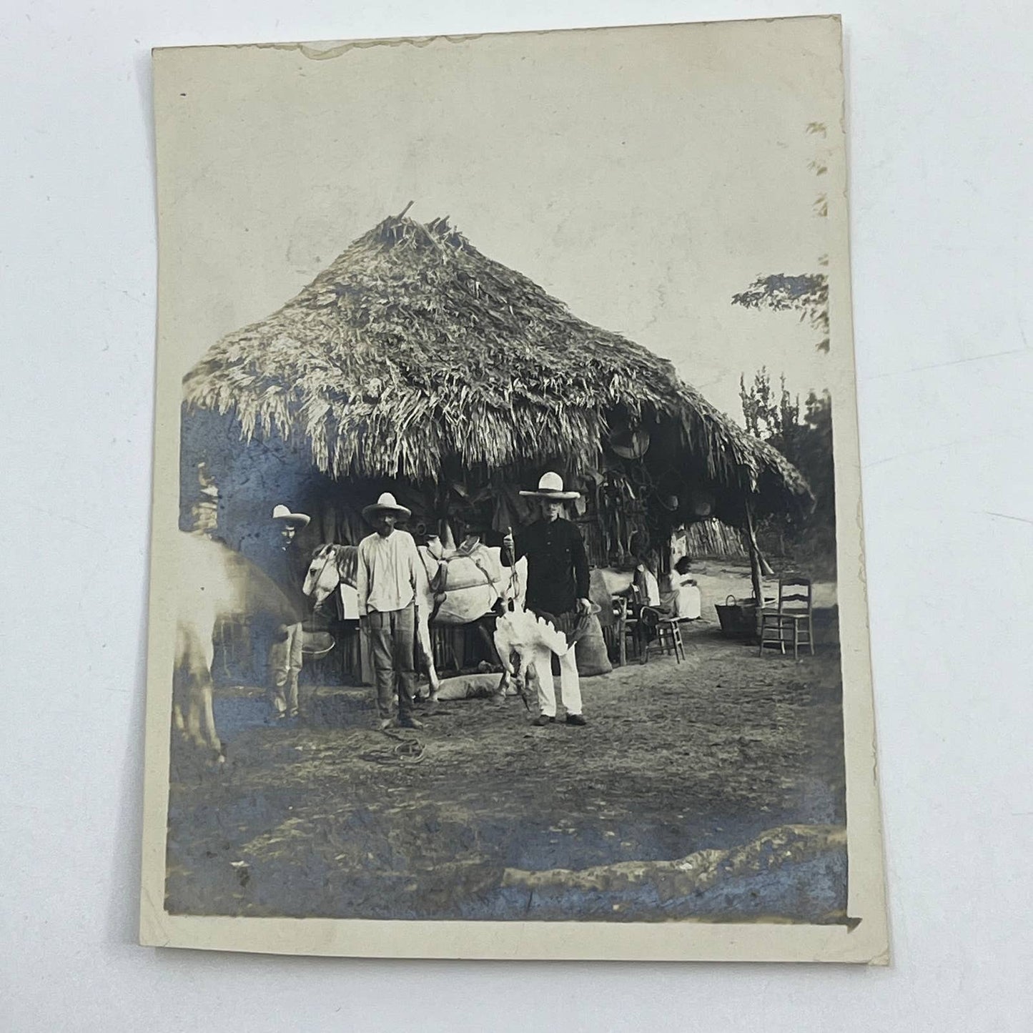 1903 Original Sepia Photograph Native Huts At Tuxpam Mexico AC7-2