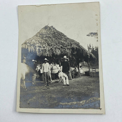 1903 Original Sepia Photograph Native Huts At Tuxpam Mexico AC7-2