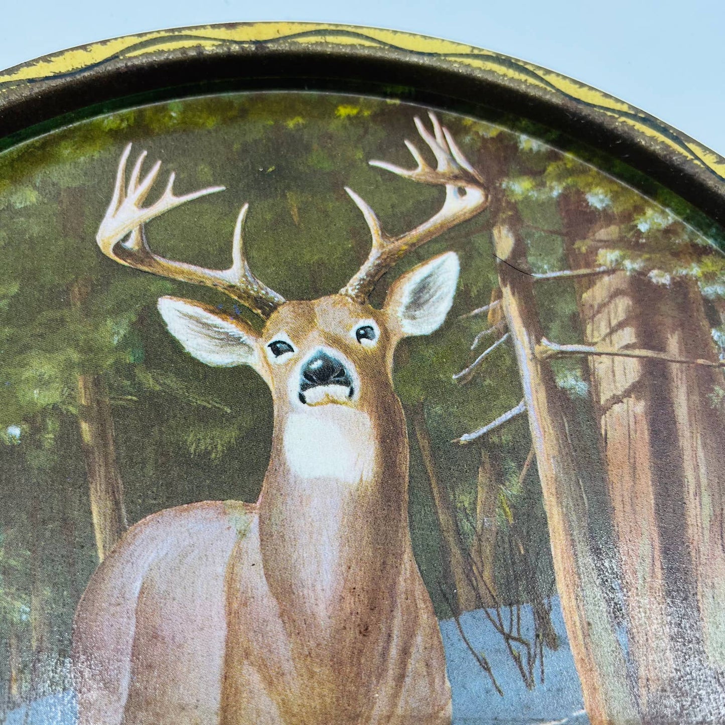 1960s Hunting James L  Artig Wall Mount Serving Tray Buck Deer Forest  11” TD3