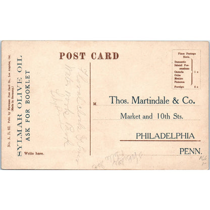 Picking Olives at Sylmar California c1910 Original Postcard TK1-P20