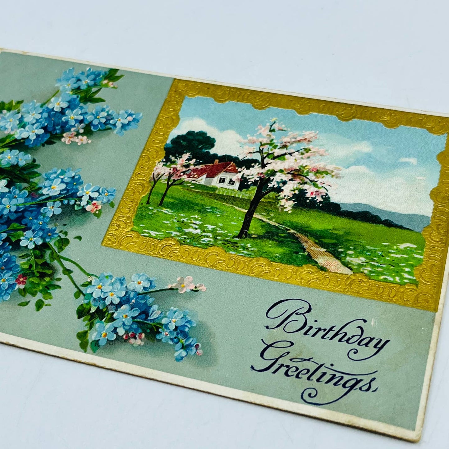 1910s Birthday Card Embossed Dresden Cherry Blossom Cottage Forget Me Not PA5