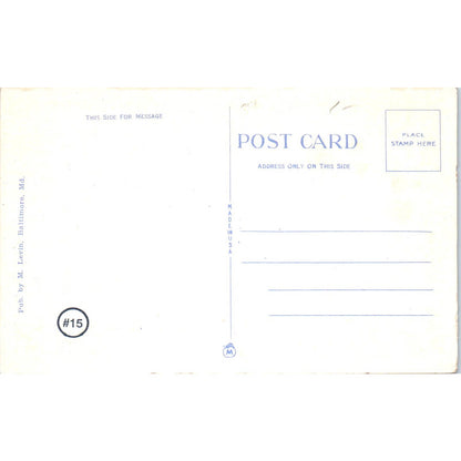 Boat Lake View Druid Hill Park Baltimore MD Original Postcard TK1-28