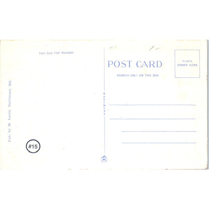 Boat Lake View Druid Hill Park Baltimore MD Original Postcard P2-2