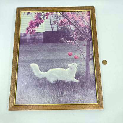 1970s Photograph Print Long Haired White Cat by Cherry Blossom Tree 12x15” TE6