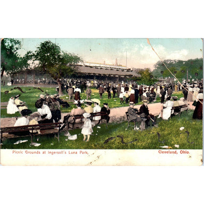 1906 Postcard Picnic Grounds at Ingersoll's Luna Park Cleveland OH TD8-O2