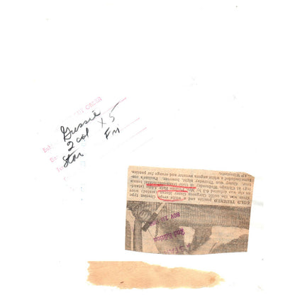 1956 Original Press Photo Women's Tennis Gussy Moran Pauline Betz Addie ~8x10" AD2