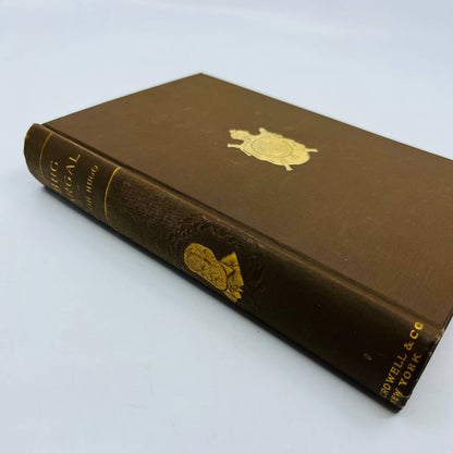 1896 Bug Jargal Victor Hugo English Arabella Ward T.Y. Crowell TA7