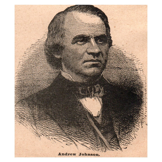 President Andrew Johnson Portrait 3x3.5" Original Engraving 1899 AK3-7