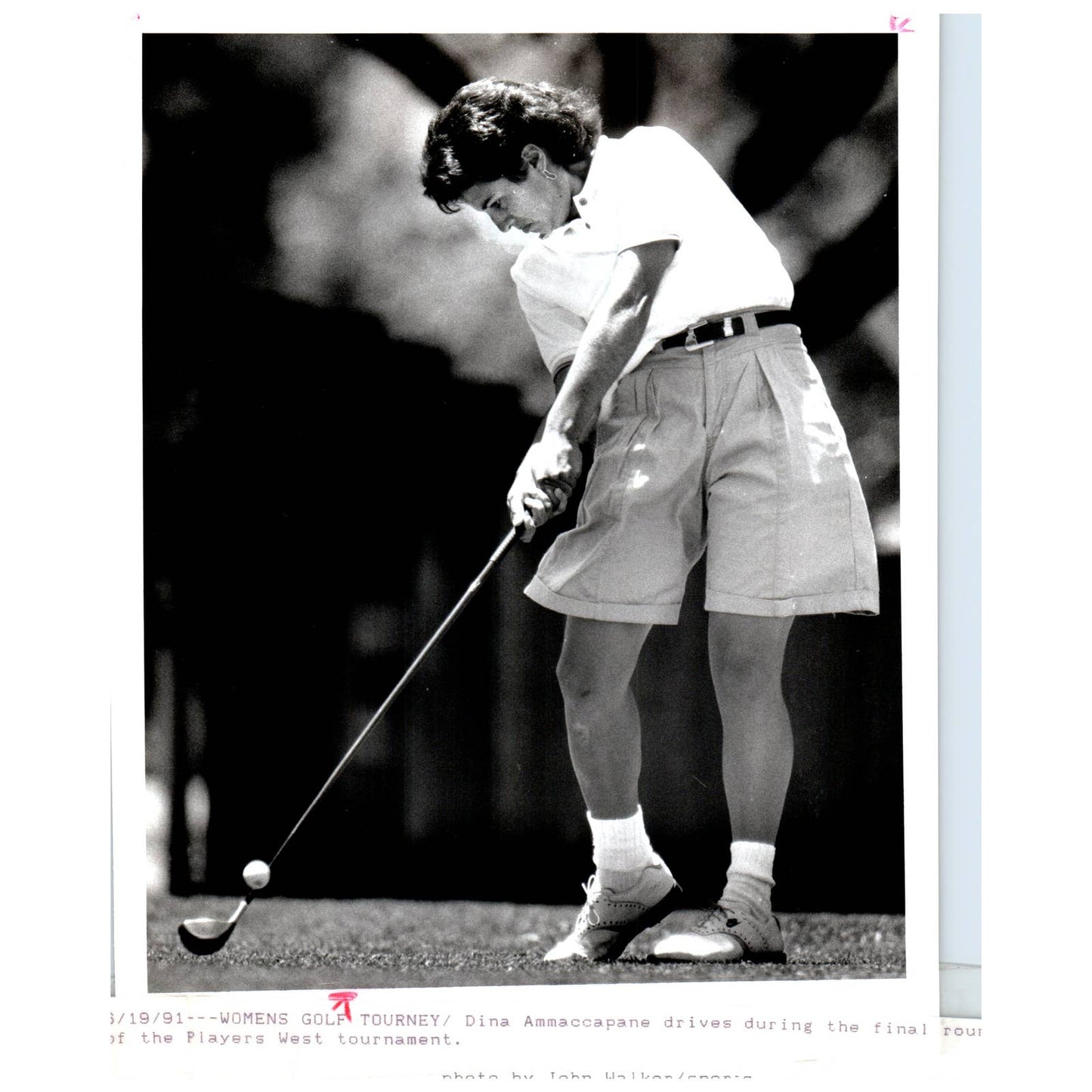 1991 Original Press Photo Women's Golf Dina Ammaccapane Visalia ~7x9 AD1