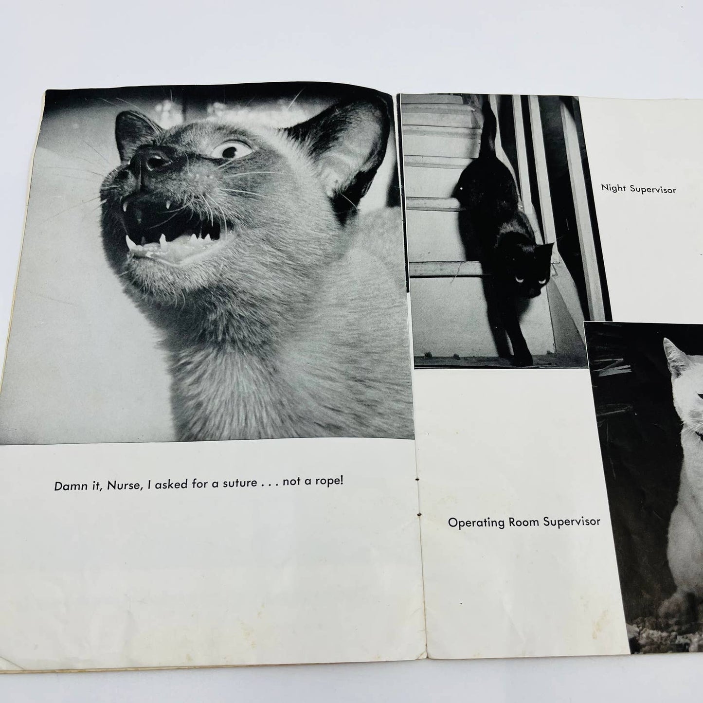 1958 ETHICON CAT-A-LOG Cat Humor Picture Book TD5