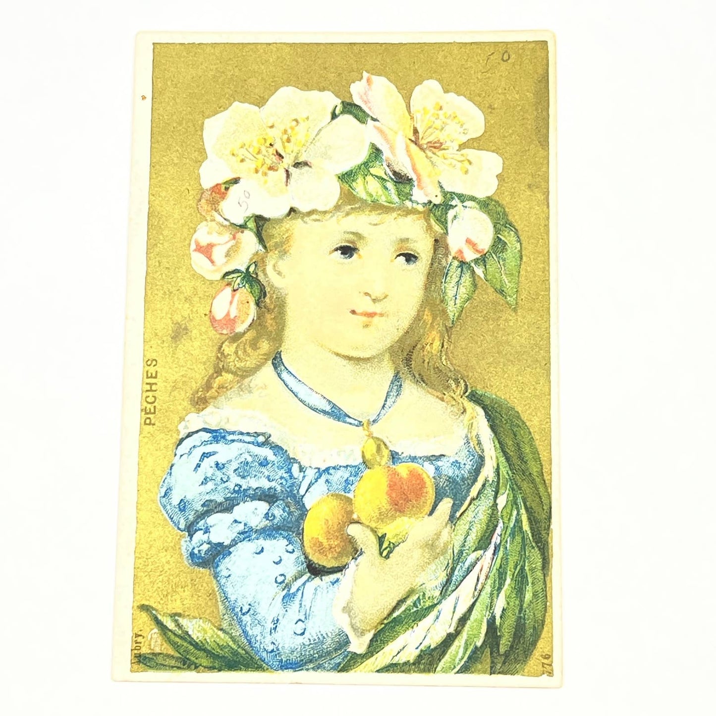 1883 Victorian Trade Card Adams Meldrum & Anderson Dry Goods Girl w/ Peaches AB6