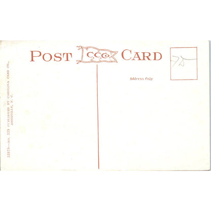 Convalescent Wards USA General Hospital No. 19 Oteen NC Original Postcard TJ9-P2